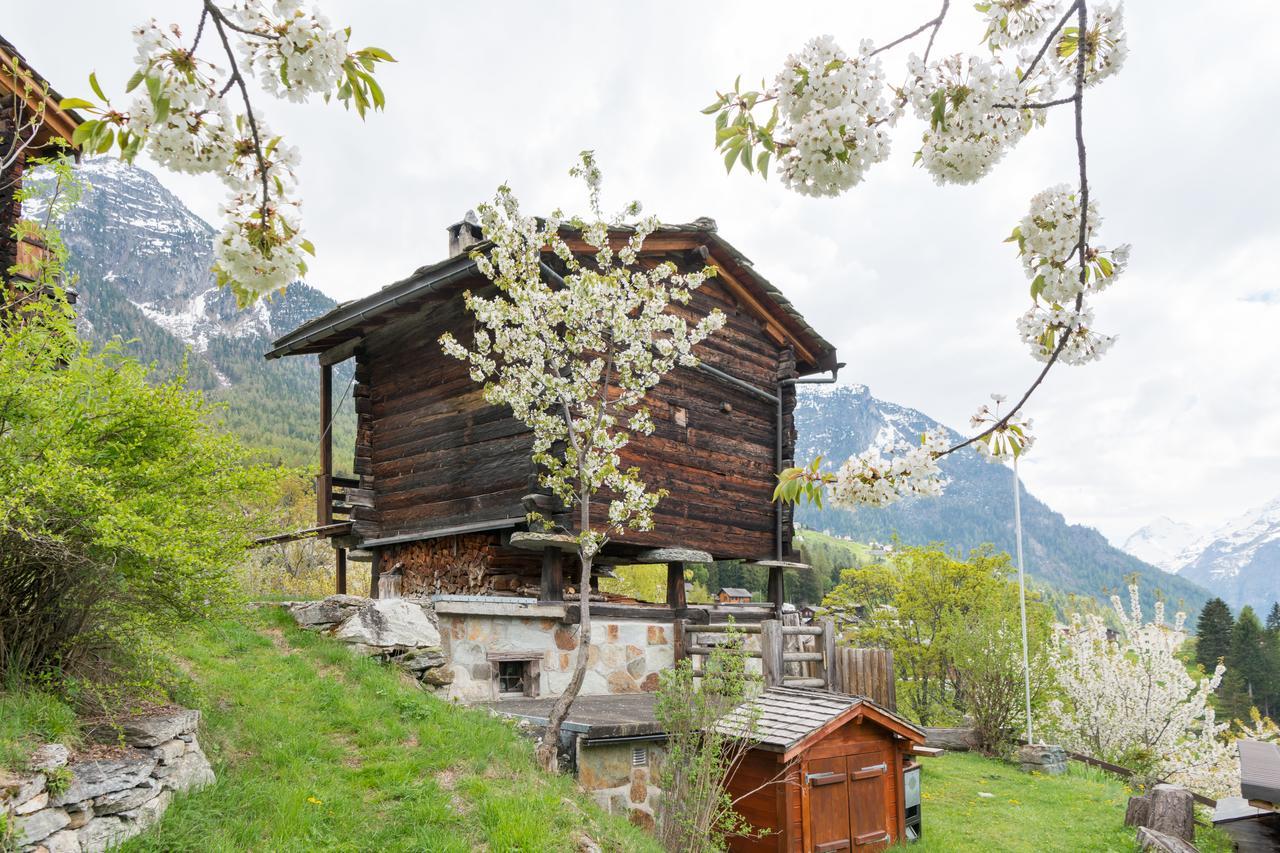 Korn-Stadel Arida Prata "Natur Pur" Grachen Exterior photo